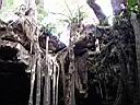 Cenote tour 10.JPG